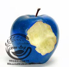 نهال سیب آبی 