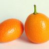 خرید نهال پرتقال مینیاتوری