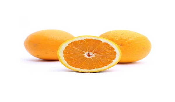 خرید نهال پرتقال والنسیا